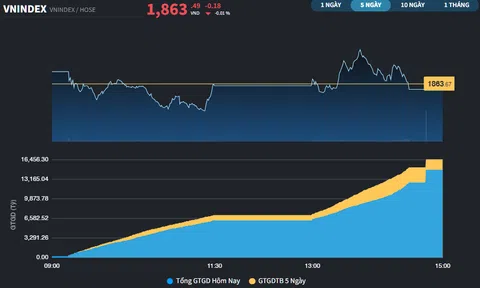 Sự hứng khởi chưa quay trở lại, VN-Index dao động trong biên độ hẹp