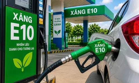 Sẵn sàng các điều kiện đưa xăng sinh học E10 ra thị trường từ 1/6