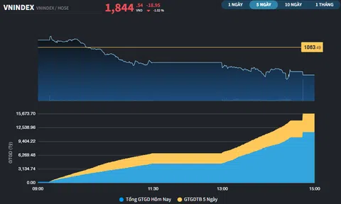 Nhóm Midcap nhen nhóm một số cơ hội