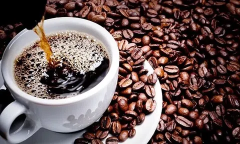 Giá cà phê hôm nay 2/6/2026: Cập nhật giá cà phê trong nước và thế giới
