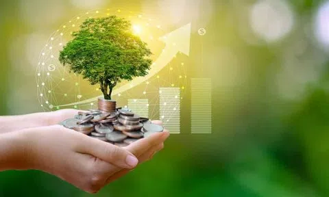 Tìm hiểu mô hình kinh tế xanh