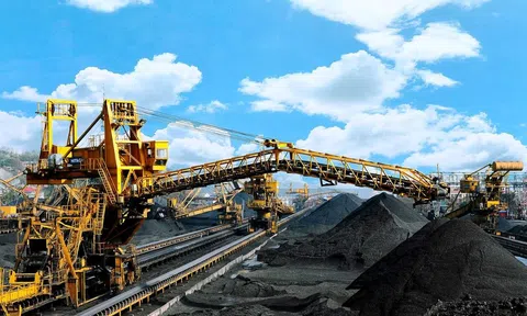 TKV khẳng định vai trò doanh nghiệp nhà nước chủ lực trong phát triển kinh tế