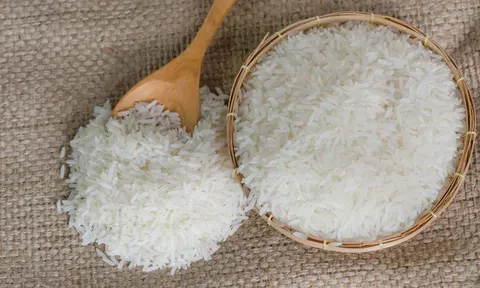 Giá lúa gạo hôm nay 10/6/2026: Toàn cảnh thị trường, xuất khẩu và dự báo xu hướng