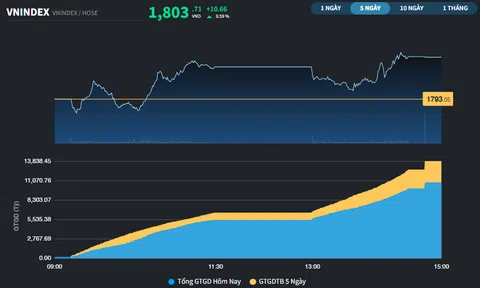 Phiên hồi phục thứ 2, VN-Index trở lại trên mốc 1.800 điểm