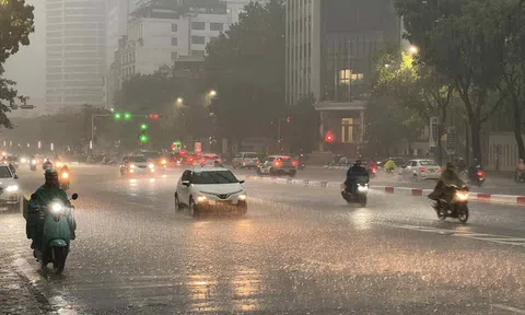 Dự báo thời tiết hôm nay 11/6/2026: Trung Bộ và Nam Bộ xuất hiện mưa rào