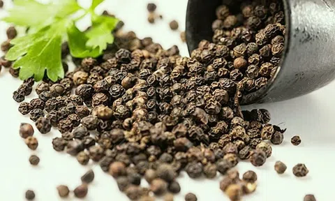 Giá tiêu hôm nay 11/6/2026: Cập nhật giá tiêu trong nước, quốc tế