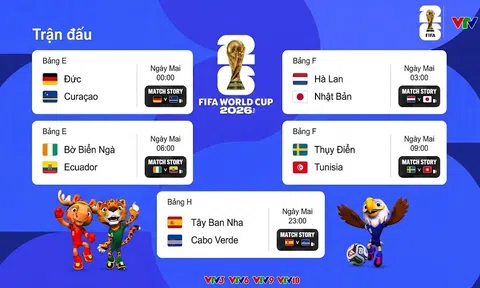 VTV3, VTV6 trực tiếp bóng đá World Cup hôm nay 15/6