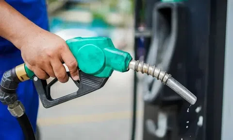 Giá xăng dầu hôm nay 19/6/2026: Cập nhật giá xăng dầu trong nước, quốc tế