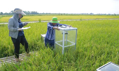 Doanh nhân Thanh Hóa và khát vọng xanh trong kỷ nguyên số