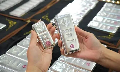 Giá bạc hôm nay 22/6/2026: Đồng loạt phục hồi, nhà đầu tư chờ tín hiệu mới