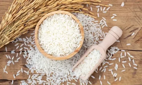 Giá lúa gạo hôm nay 22/6/2026: Duy trì trạng thái ổn định
