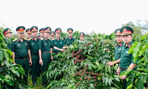Tỏa sáng phẩm chất Bộ đội Cụ Hồ nơi vùng dự án