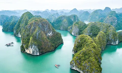 Bảo tồn và phát huy giá trị Vườn quốc gia Cát Bà vì tương lai bền vững