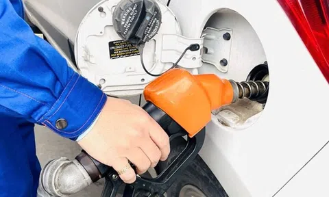 Giá xăng dầu hôm nay 26/6/2026:  Duy trì ổn định
