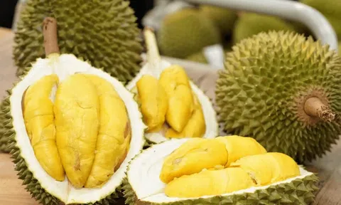 Giá sầu riêng hôm nay 27/6/2026: Thị trường điều chỉnh giảm, giá sầu Thái và Ri6 đồng loạt giảm