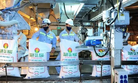 Đạm Cà Mau hoàn thành 59% kế hoạch năm, chuẩn bị trả cổ tức 2.000 đồng/cổ phiếu