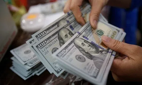 Tỷ giá USD hôm nay 29/6/2026: Cập nhật giá USD trong nước, quốc tế