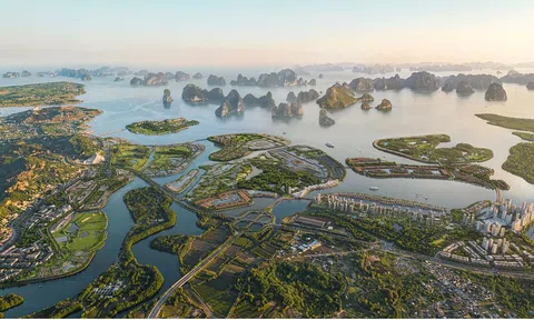 MBS dự báo lợi nhuận nhiều doanh nghiệp bất động sản giảm trong quý II, Vinhomes ngược dòng