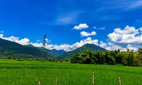 Sự ra đời của thị trường carbon và ý nghĩa của nó