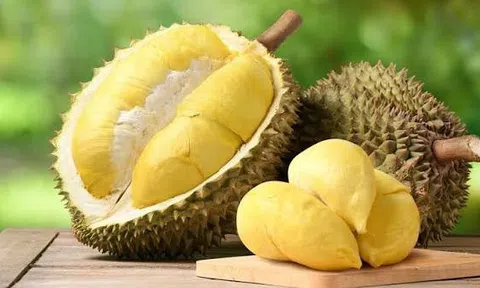 Giá sầu riêng hôm nay 3/7/2026: Sầu Thái tiếp tục lao dốc