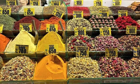 Doanh nghiệp lưu ý quy định mới về thực phẩm khi xuất khẩu sang Thổ Nhĩ Kỳ