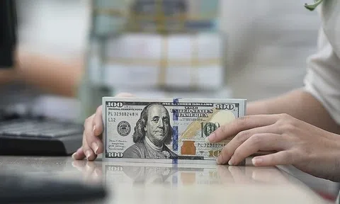 Tỷ giá USD hôm nay 3/7/2026: Đồng USD lao dốc