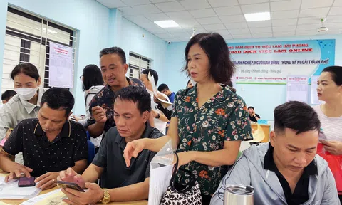 Trung tâm Dịch vụ việc làm Hải Phòng: Chuyển dịch mạnh mẽ sang mô hình kết nối đa nền tảng