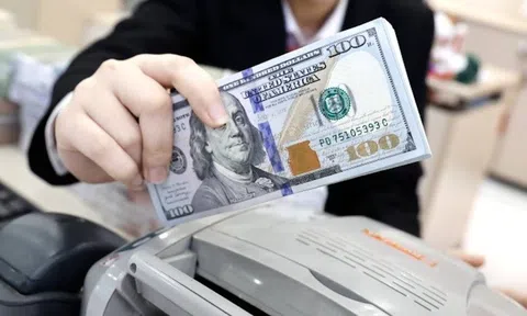 Tỷ giá USD ngày 6/7/2026: Đồng USD đối mặt áp lực giảm trong tuần này