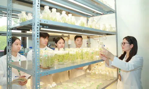 Điểm sàn xét tuyển Học viện Nông nghiệp Việt Nam năm 2026