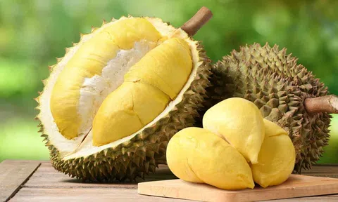 Giá sầu riêng hôm nay 8/7/2026: Sầu Thái giảm