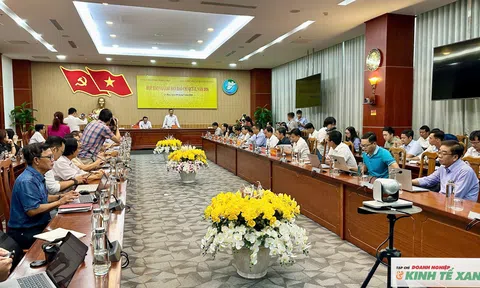 Cà Mau: Thu hút đầu tư, phát triển doanh nghiệp tiếp tục là điểm sáng trong 6 tháng đầu năm