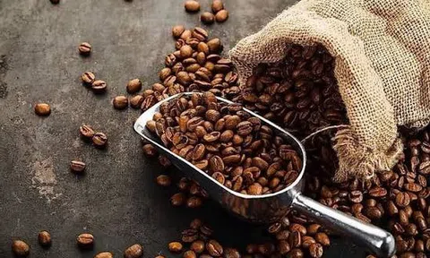 Giá cà phê hôm nay 11/7/2026: Tăng sốc hơn 6.000 đồng/kg, vượt 98.000 đồng