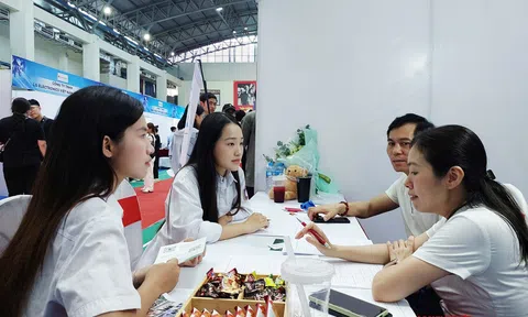 Hải Phòng: Người lao động hưởng lợi từ chính sách bảo hiểm thất nghiệp