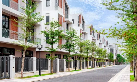 Sau HSC, đến lượt Vietcap hạ gần 50% giá mục tiêu cổ phiếu PNJ