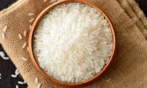 Giá lúa gạo hôm nay 14/7/2026: Ổn định, gạo tấm thơm tăng nhẹ