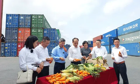 Hội Nông dân Hải Phòng: Khẳng định vai trò bệ đỡ cho nông nghiệp sinh thái và kinh tế tập thể bứt phá