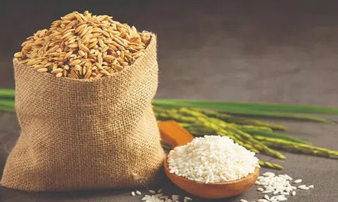 Giá lúa gạo hôm nay 17/7/2026: Giá gạo nguyên liệu tăng nhẹ