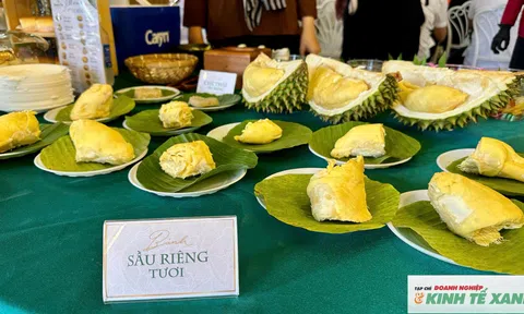 Cần Thơ khai mạc Tuần lễ Buffet sầu riêng lần thứ II, đẩy mạnh chế biến sâu, nâng tầm giá trị ngành hàng sầu riêng