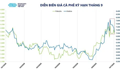 Cà phê trải qua đợt biến động giá mạnh