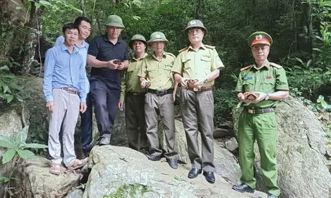 Thả 4 cá thể rùa Sa Nhân quý hiếm về môi trường tự nhiên