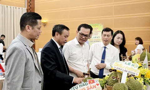 Lễ hội Sầu riêng Đắk Lắk 2026: Kết nối giá trị, lan tỏa thương hiệu sầu riêng Việt