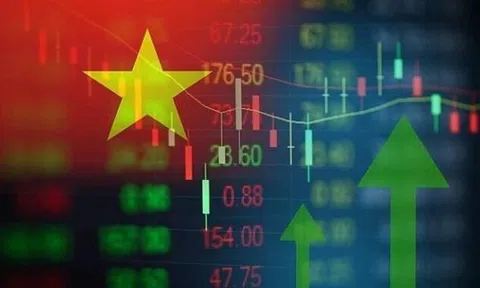 Lợi nhuận công ty chứng khoán phân hóa: VPBankS, TCBS vượt 2.000 tỷ đồng, VIX và VBSE giảm trên 90%