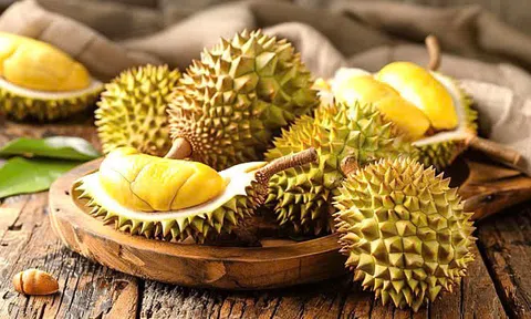 Giá sầu riêng hôm nay 20/7/2026: Sầu Thái dao động mức 70.000 – 73.000 đồng/kg
