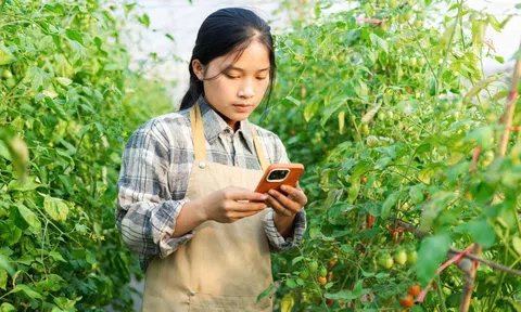 Rời phố về quê làm nông nghiệp - Khi lựa chọn sống xanh trở thành hành trình lập nghiệp
