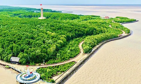 Đánh thức tiềm năng kinh tế biển, Cà Mau tăng tốc trên đường đua chuyển đổi xanh
