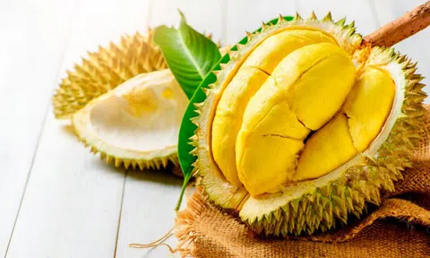 Giá sầu riêng hôm nay 22/7/2026: Thị trường khởi sắc