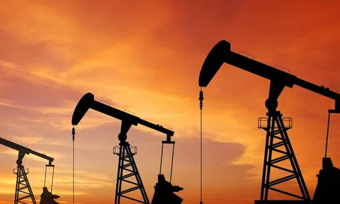 Giá xăng dầu hôm nay 22/7/2026: Giá dầu thế giới tiếp tục tăng