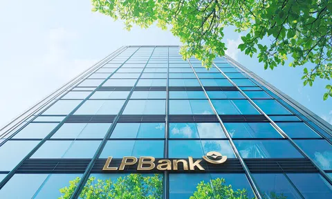 LPBank báo lãi gần 6.000 tỷ đồng, thu ngoài lãi tăng 33% sau 6 tháng đầu năm 2026