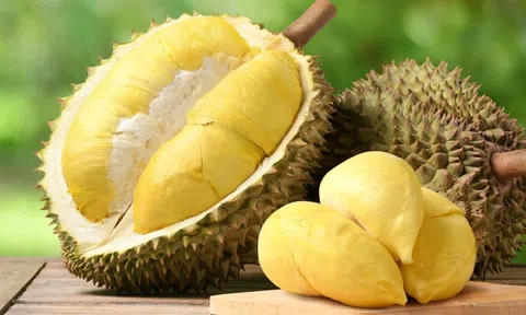 Giá sầu riêng hôm nay 23/7/2026: Thị trường biến động