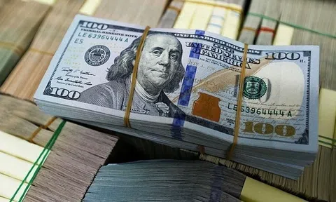 Tỷ giá USD hôm nay 23/7/2026: Đồng USD giảm nhẹ sau chuỗi bốn phiên tăng liên tiếp